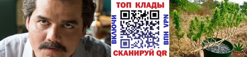 Какие есть наркотики Щигры Каннабис  Галлюциногенные грибы  Гашиш  COCAIN  СК 