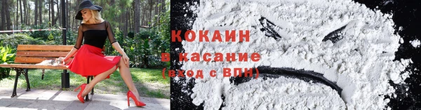 шишки Карпинск