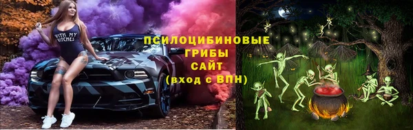 шишки Карпинск