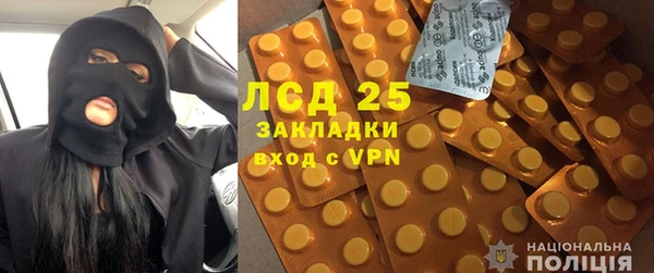 шишки Карпинск