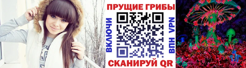 Псилоцибиновые грибы GOLDEN TEACHER  как найти закладки  OMG   Щигры 